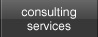Consulting Services